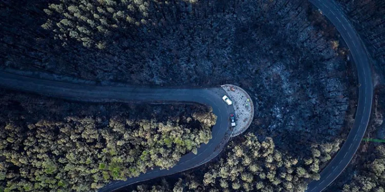 Yangının yol açtığı ekonomik kayıp