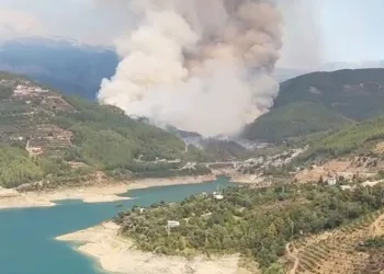 Alanya’daki orman yangını kontrol altına alındı