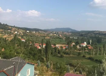 Sebze meyve üretiminde güz bereketi