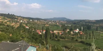 Sebze meyve üretiminde güz bereketi