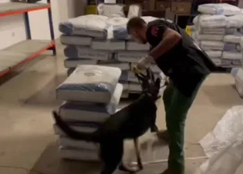 153 kilogram uyuşturucu ele geçirildi