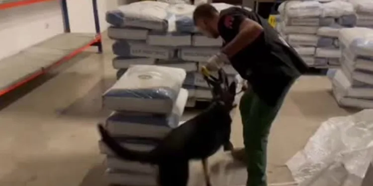 153 kilogram uyuşturucu ele geçirildi