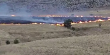 Anız yangını 200 dönüm alanda etkili oldu