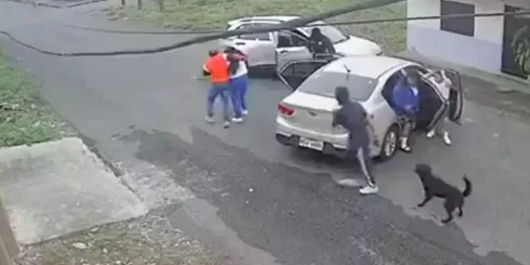 Aracın önünü kesip çocuğu kaçırdılar