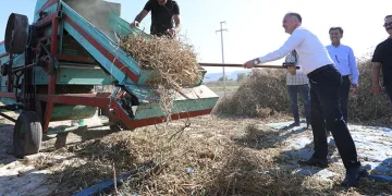 Tarladan sofraya, Cerrah kuru fasulyesi