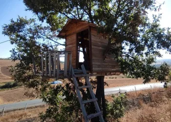 Çocukluk hayali, evler yapıyor