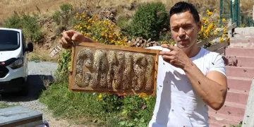 Arılara yazmayı öğreten adam