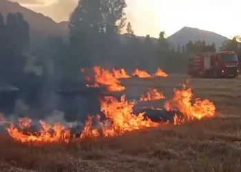 Anız yangını itfaiyenin müdahalesiyle söndürüldü