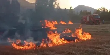 Anız yangını itfaiyenin müdahalesiyle söndürüldü