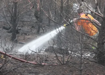 Kazdağları’nda orman yangını
