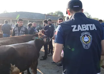 Hayvan pazarından denetimi gerçekleştirildi