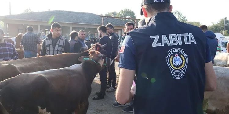 Hayvan pazarından denetimi gerçekleştirildi