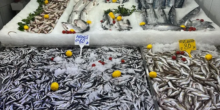 Sinop’ta hamsi tezgaha geldi