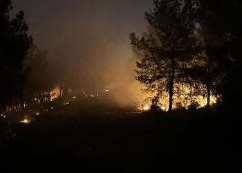 İzmir’de ormanlık alanda yangın