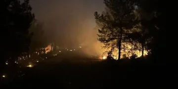İzmir’de ormanlık alanda yangın