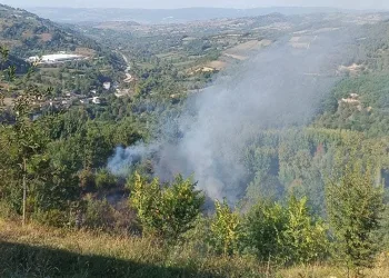 Bahçesindeki çalıları ateşe veren şahıs canından oldu