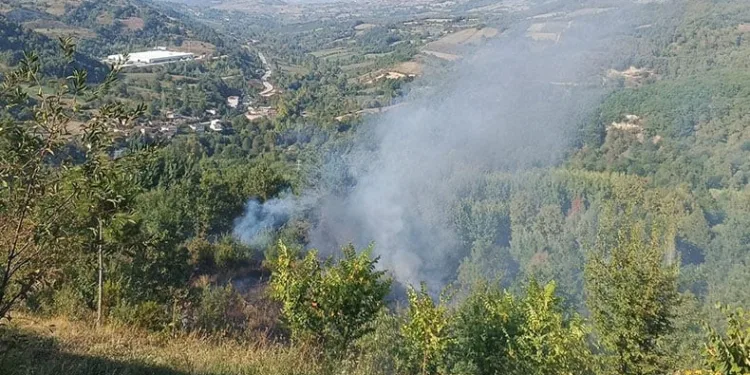 Bahçesindeki çalıları ateşe veren şahıs canından oldu
