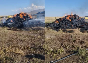 20 ton ot yanarak kül oldu