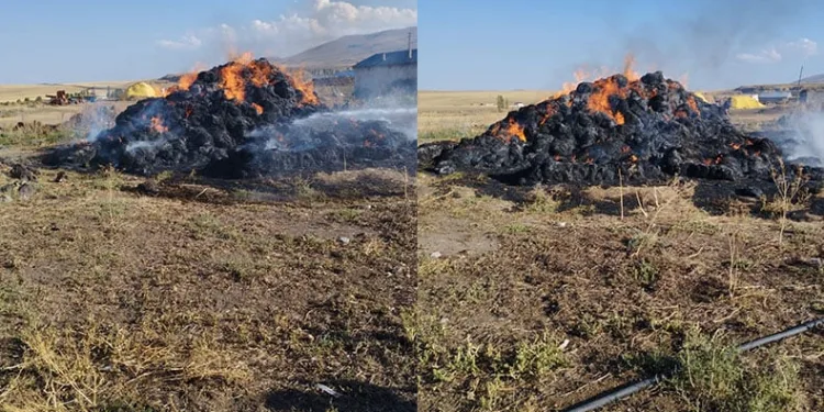 20 ton ot yanarak kül oldu