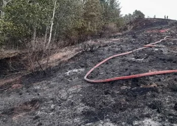 Gümüşhane’de iki köyde yangın paniği