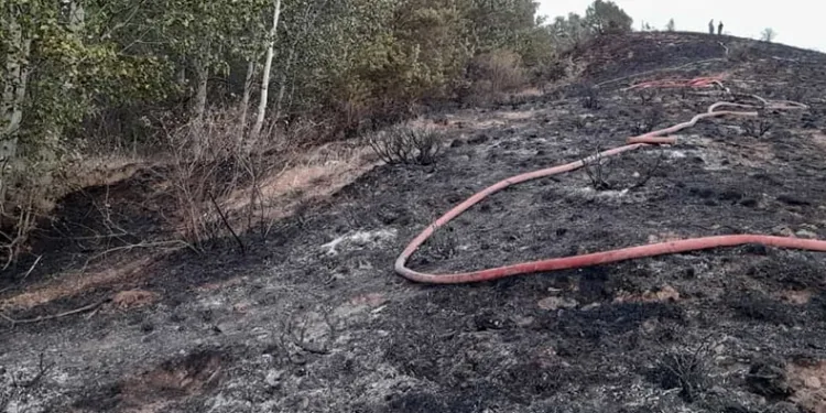 Gümüşhane’de iki köyde yangın paniği