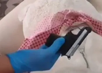 Oyuncak ayının içinden tabanca çıktı