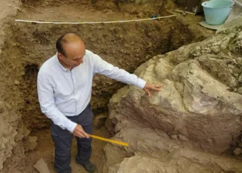 64 bin yıllık sır