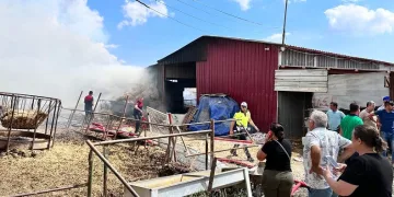 Çanakkale’de çıkan yangında 2 hayvan telef oldu