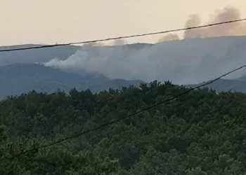 Marmaris’te yıldırım yangını