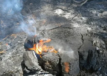 Bir günde 36 yıldırım yangını
