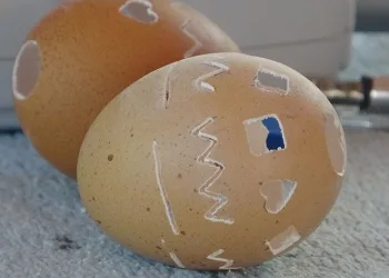 Yumurta kabuğundan sanatı çocuklara öğretti