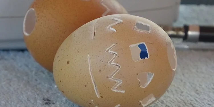 Yumurta kabuğundan sanatı çocuklara öğretti