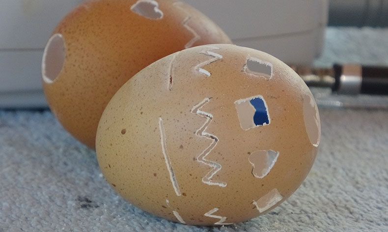 Yumurta kabuğundan sanatı çocuklara öğretti