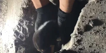 Yavru köpek, darbeli matkapla kurtarıldı