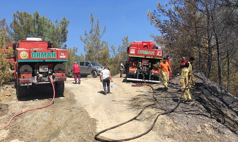Adana'da orman yangını söndürüldü
