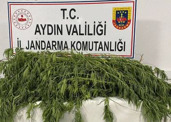 Germencik’te uyuşturucu operasyonu