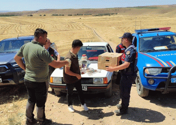 Kuş sevdasına otomobillerinden oldular