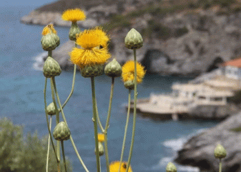 Kuşadası yeni bir turizm rotası kazandı