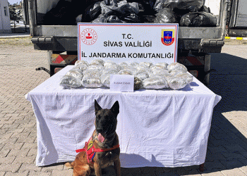 Kayısı kolisinden kilolarca uyuşturucu çıktı