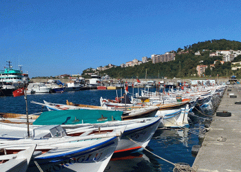 Balık fiyatlarında düşüş bekleniyor