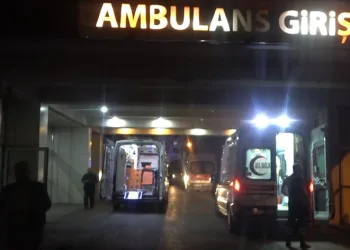 Armut toplarken ağaçtan düştü