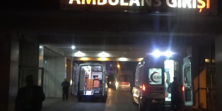 Armut toplarken ağaçtan düştü