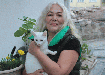 19 yıldır yüzlerce kedinin annesi