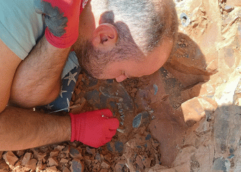 Milyonlarca yıl öncesinden fosiller bulundu