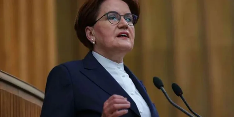 “Kaybeden biziz,kazanan sayın Erdoğan değil”