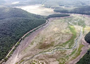 Son yılların en düşük seviyesi