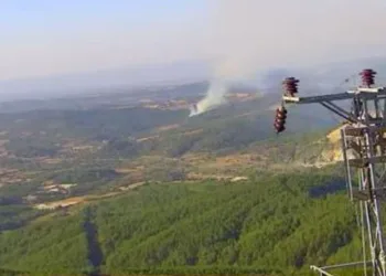 Çanakkale’de orman yangını