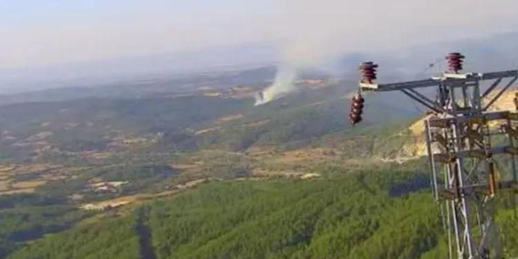Çanakkale’de orman yangını