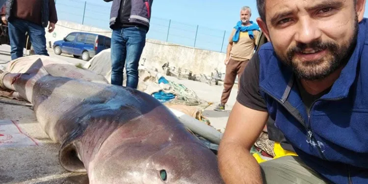 Jaws’la özçekim…