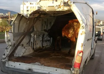Enkazdan çıkardığı aracıyla boğasını taşıdı